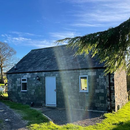 Morvoren Cottage Launceston Bagian luar foto